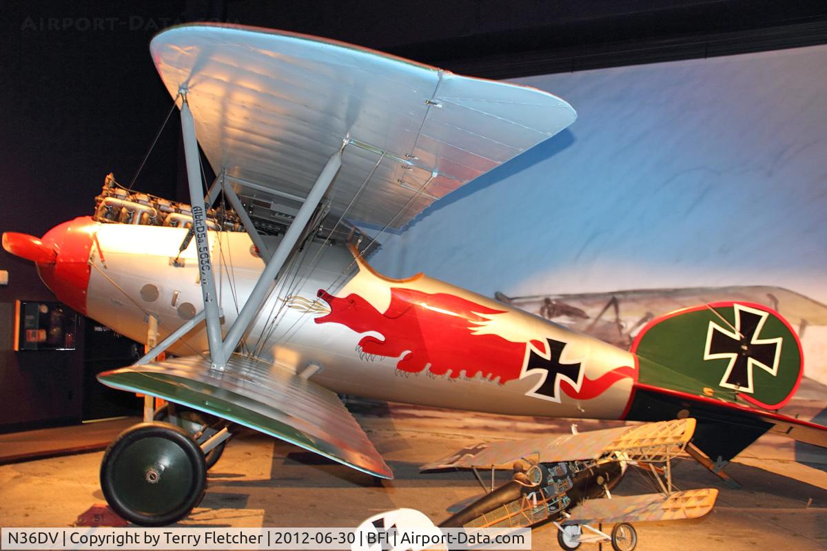 N36DV, 1981 Albatros D-Va Replica C/N 0036, Museum of Flight Seattle
