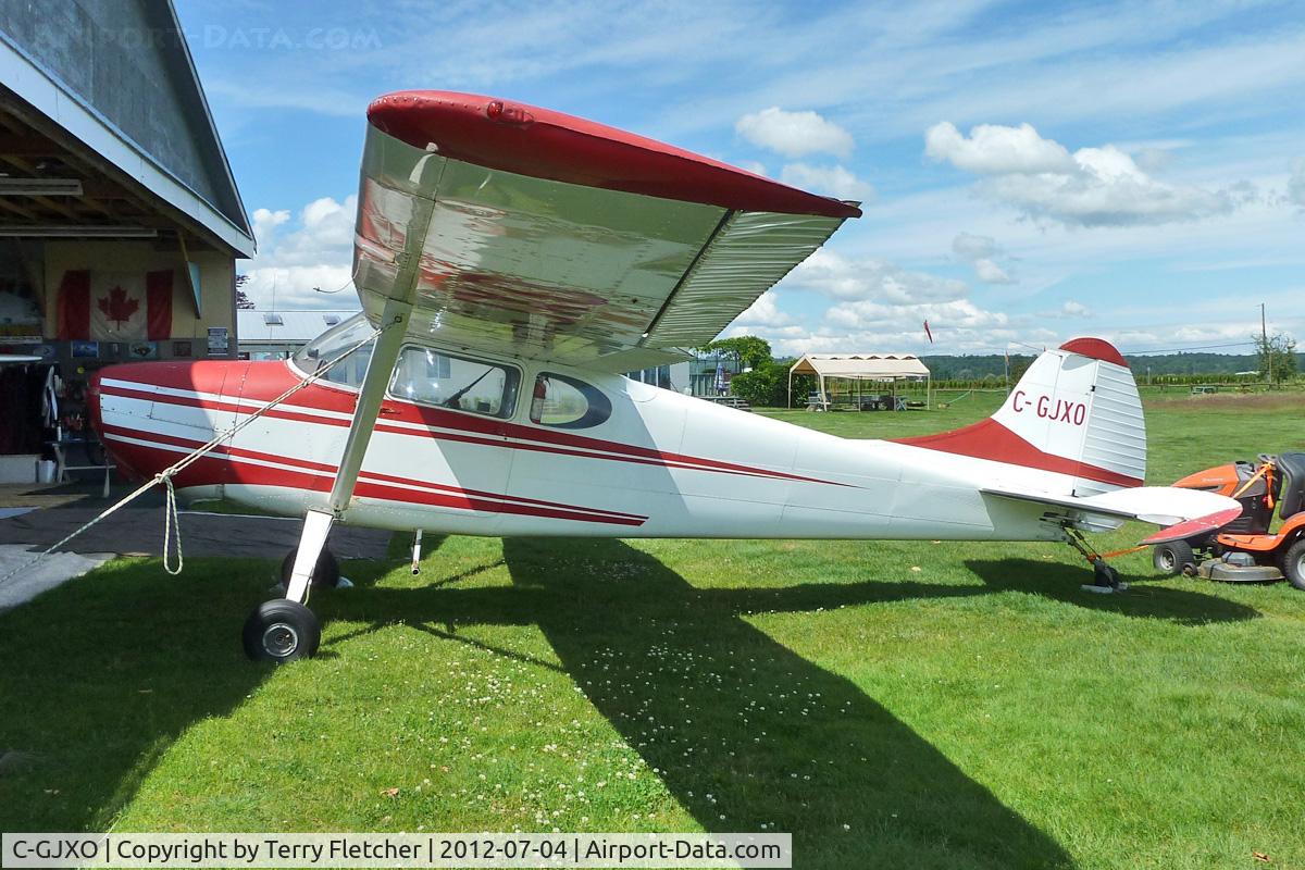 C-GJXO, 1954 Cessna 170B C/N 25540, 1954 Cessna 170B, c/n: 25540 at Vancouver Skydive , Abbotsford
