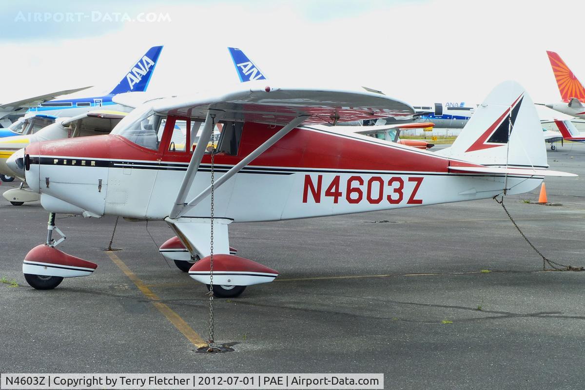 N4603Z, 1961 Piper PA-22-108 Colt C/N 22-8117, 1961 Piper PA-22-108, c/n: 22-8117