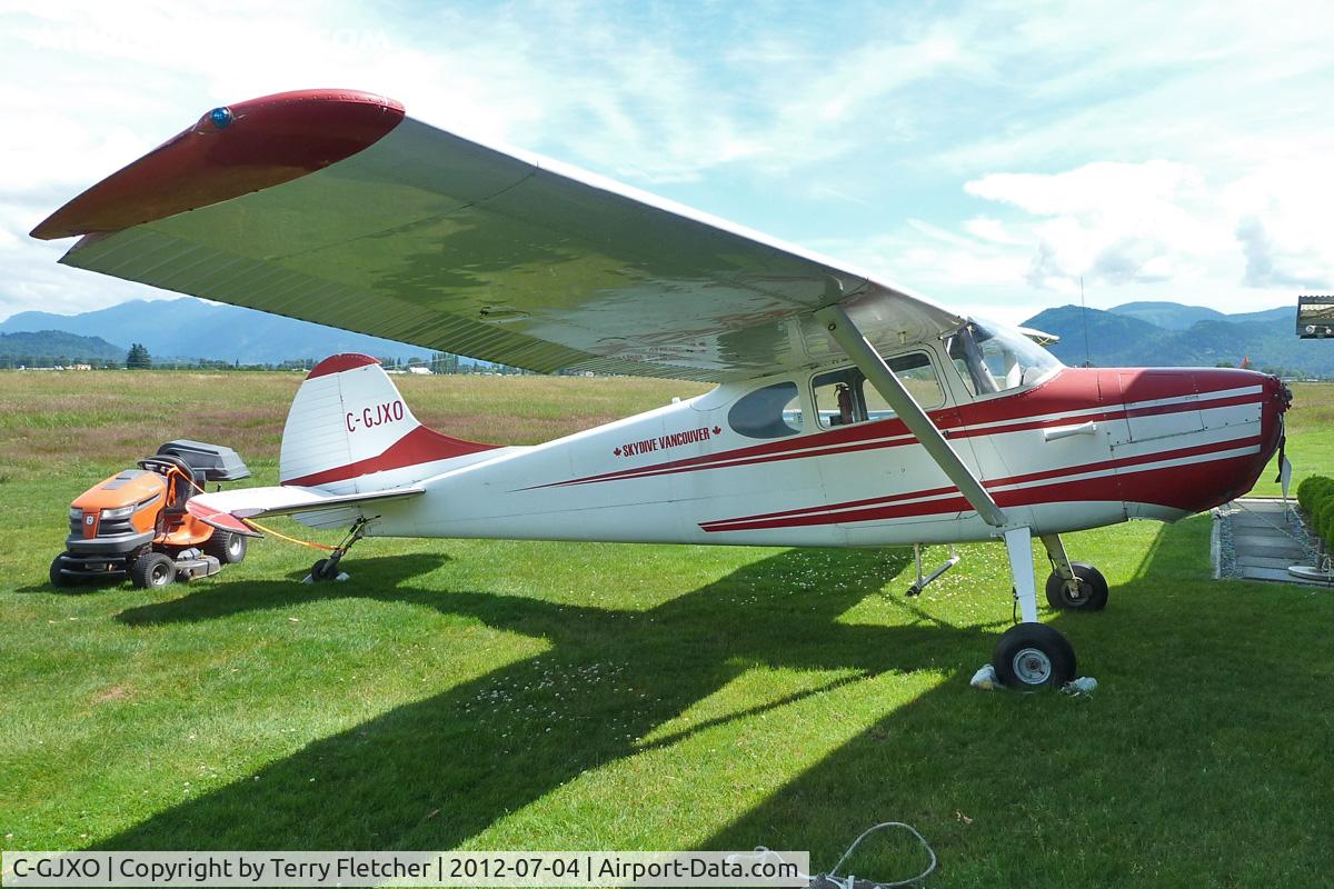 C-GJXO, 1954 Cessna 170B C/N 25540, 1954 Cessna 170B, c/n: 25540 at Abbotsford Skydive