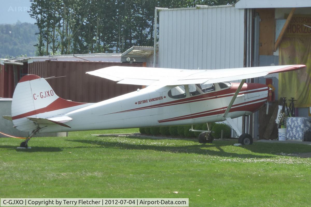 C-GJXO, 1954 Cessna 170B C/N 25540, 1954 Cessna 170B, c/n: 25540 at Abbotsford Skydive