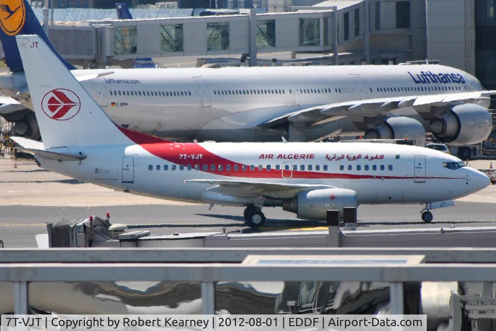 7T-VJT, 2002 Boeing 737-6D6 C/N 30546, Taxiing in to parking