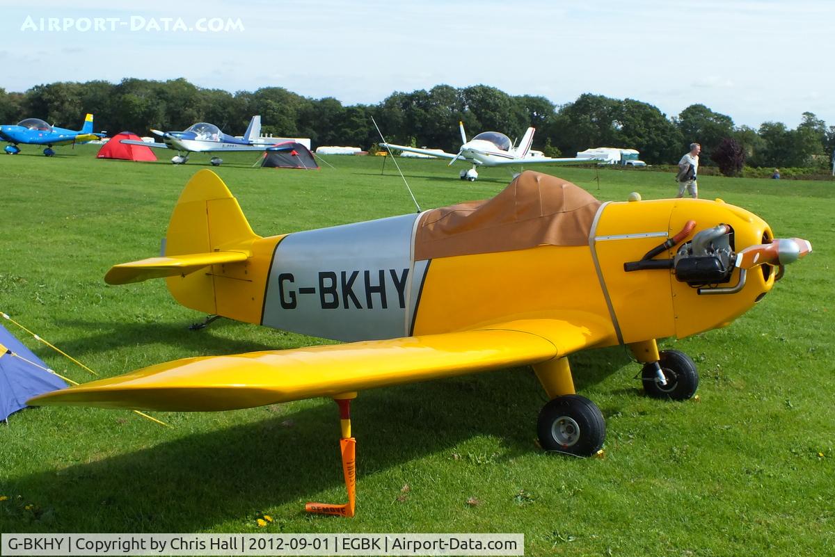 G-BKHY, 1991 Taylor Monoplane U/L C/N PFA 1416, at the LAA Rally 2012, Sywell