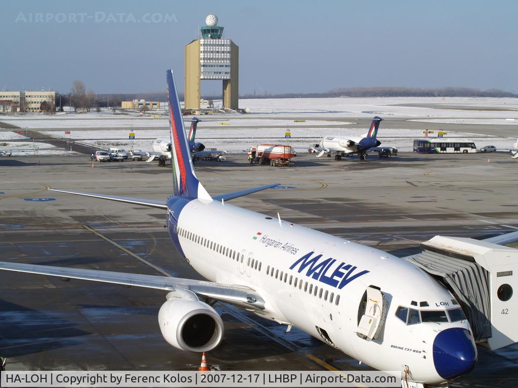 HA-LOH, 2004 Boeing 737-8Q8 C/N 30667, Ferihegy