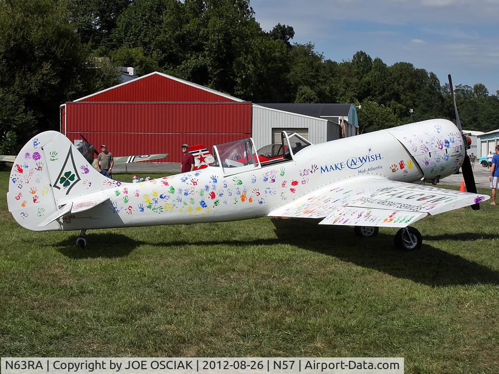 N63RA, 1977 Yakovlev Yak-50 C/N 77-1009, at New Garden