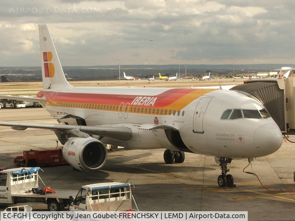 EC-FGH, 1991 Airbus A320-211 C/N 0223, IBE [IB] Iberia 