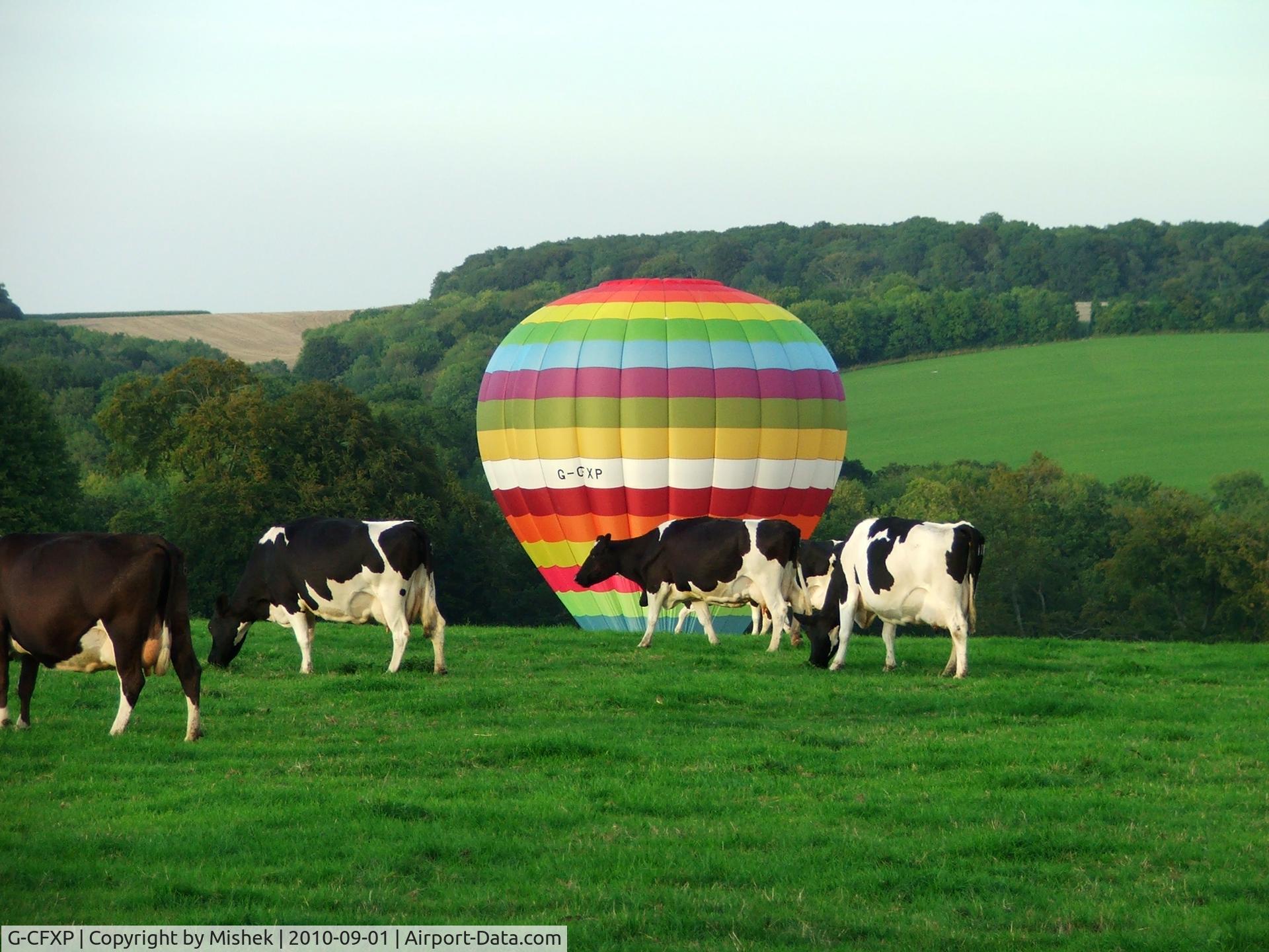 G-CFXP, 2009 Lindstrand LBL 105A C/N 1168, G-CFXP and some cows