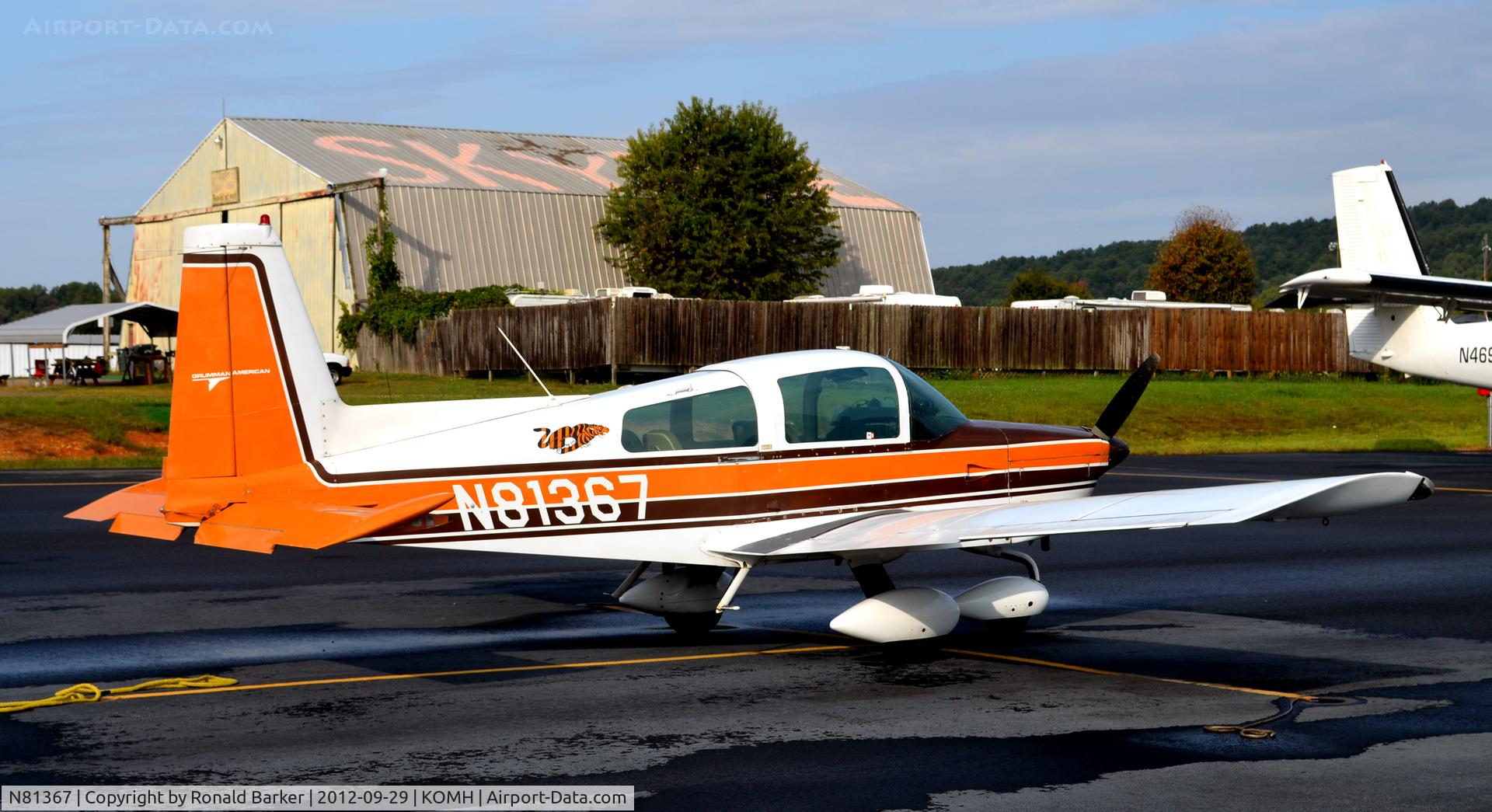 N81367, 1977 Grumman American AA-5B Tiger C/N AA5B0512, Orange