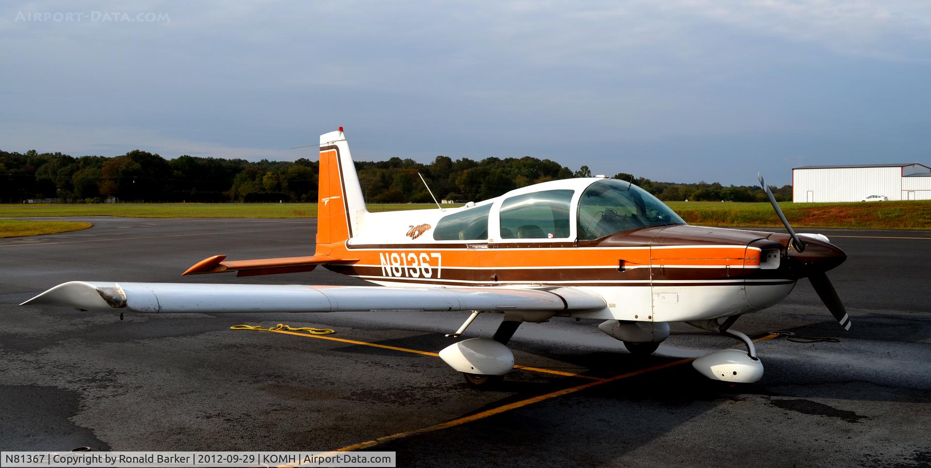 N81367, 1977 Grumman American AA-5B Tiger C/N AA5B0512, Orange