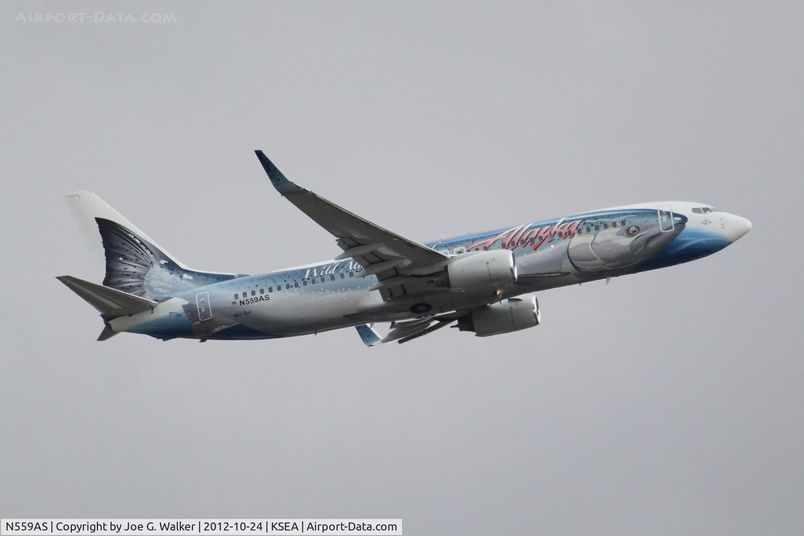 N559AS, 2006 Boeing 737-890 C/N 35178, 