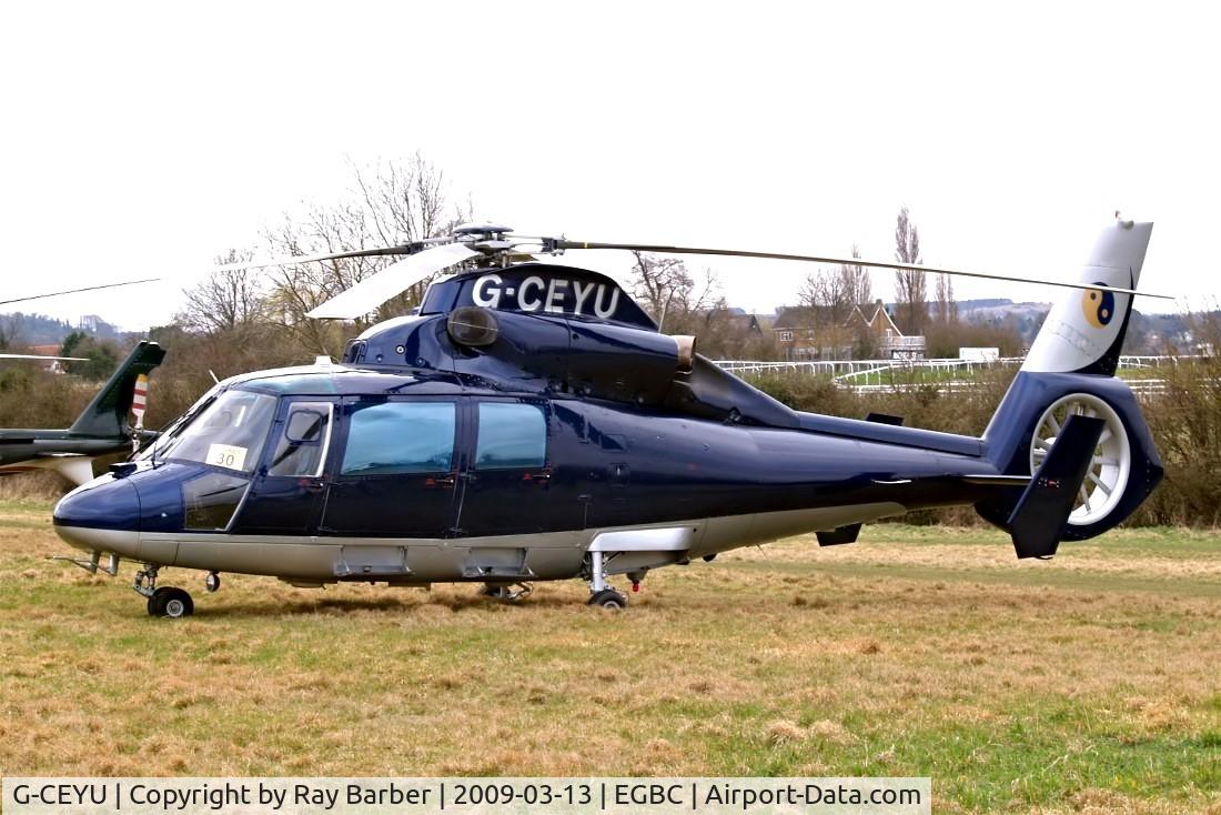 G-CEYU, 1988 Aerospatiale SA-365N-1 Dauphin 2 C/N 6298, Aerospatiale AS.365N1 Dauphin [6298] (Multiflight) Cheltenham Race Course~G 13/03/2009. Earlier scheme.