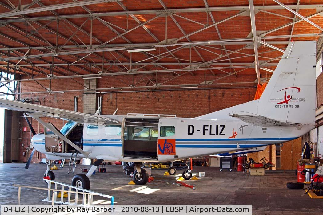 D-FLIZ, 1994 Cessna 208 Caravan I C/N 20800241, Cessna 208 Caravan I [208-00241] Spa-La Sauvenière~OO 13/08/2010