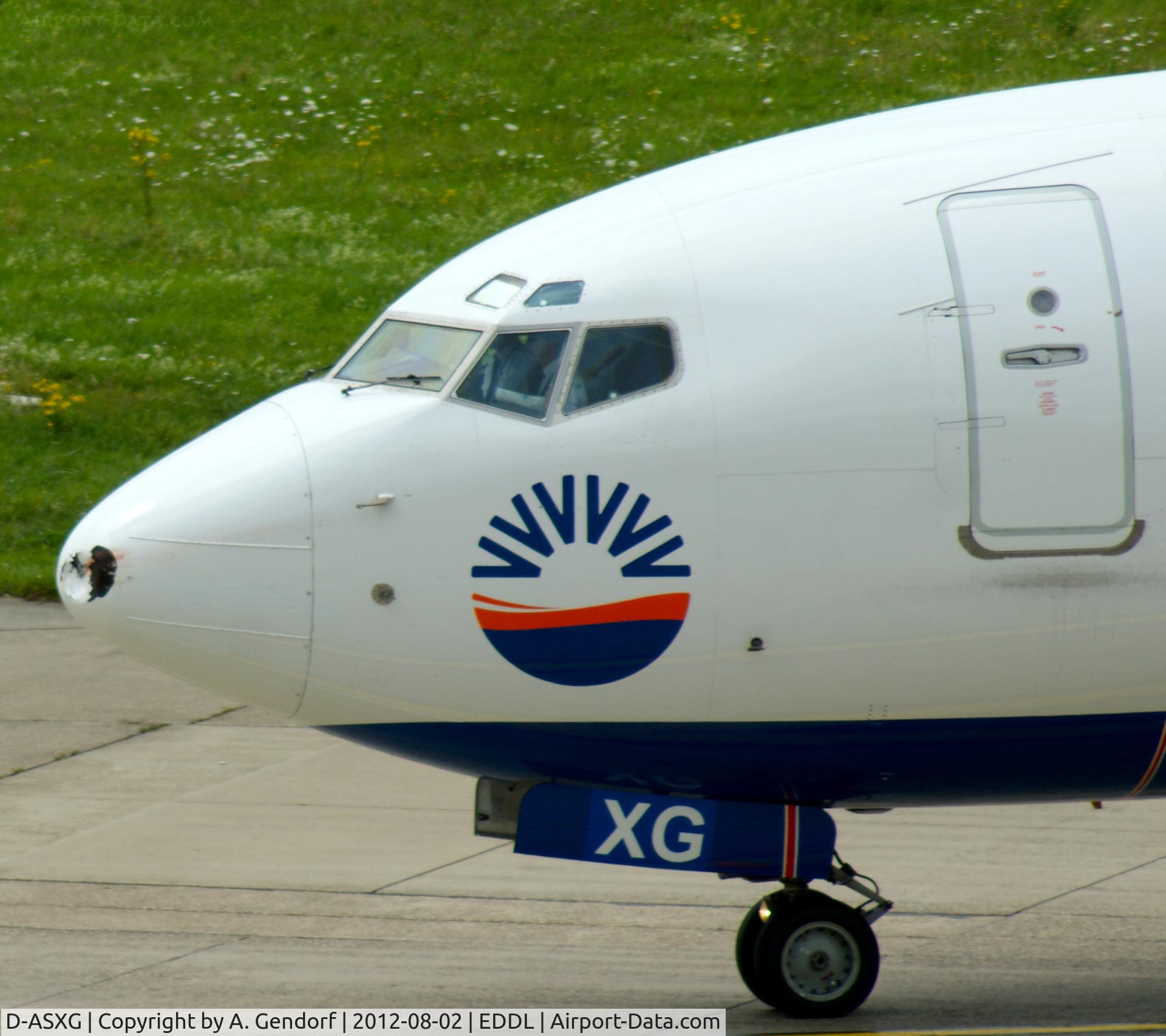 D-ASXG, 2002 Boeing 737-8CX C/N 32366, Sun Express Deutschland, see the damaged nose after the Birdstrike