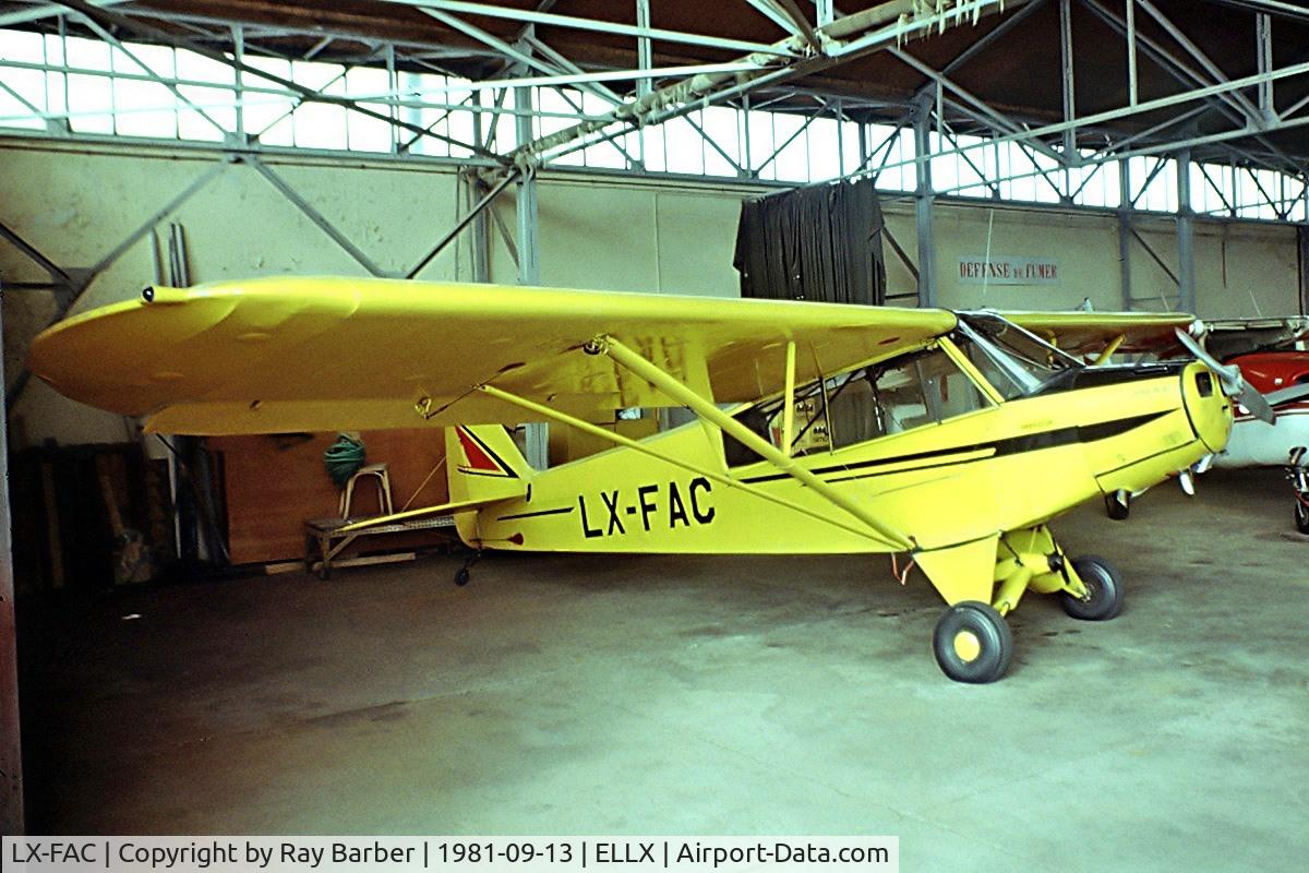 LX-FAC, Piper L-21B Super Cub C/N 18-2132, Piper PA-18-95 Super Cub [18-2132] Findel~LX 13/09/1981. Image taken from a slide.