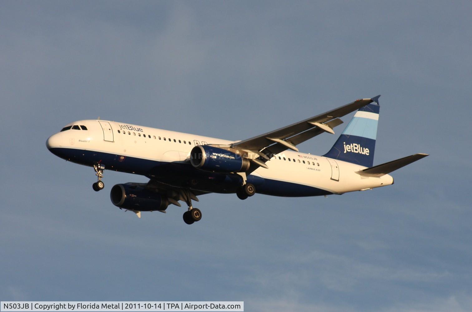 N503JB, 1999 Airbus A320-232 C/N 1123, Jet Blue A320