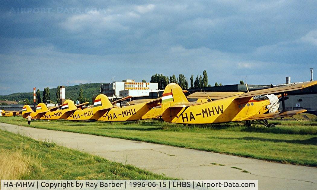 HA-MHW, 1974 PZL-Mielec AN-2R C/N 1G158-60, Antonov An-2R [1G158-60] Buadors~HA 15/06/1996. 21 An-2's where seen her on that day. A number of them are also displayed in this shot.