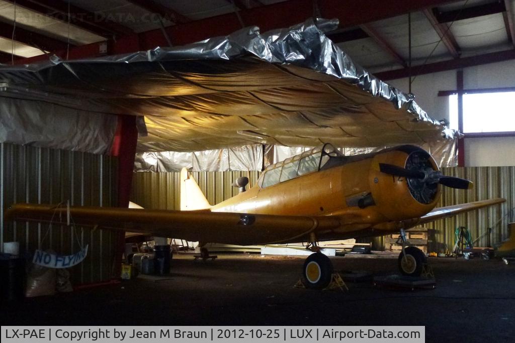 LX-PAE, 1949 North American T-6G Texan C/N 168-587, Stored in Luxembourg. Airplane not in flying condition.
