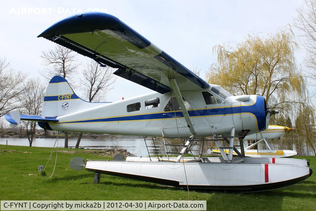 C-FYNT, 1956 De Havilland Canada U-6A Beaver C/N 1054, Parked