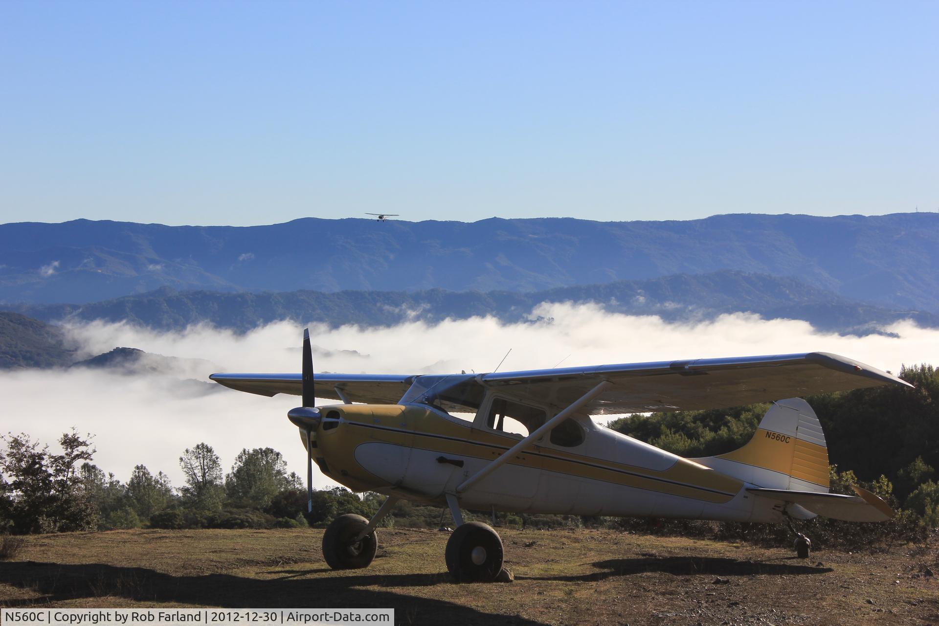 N560C, 1953 Cessna 170B C/N 25504, On a private airstrip in northern California.