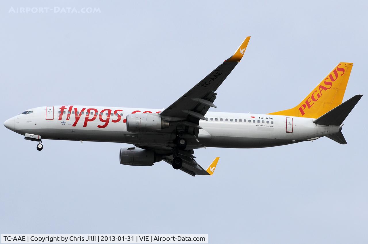 TC-AAE, 2007 Boeing 737-82R C/N 35700/2435, Pegasus