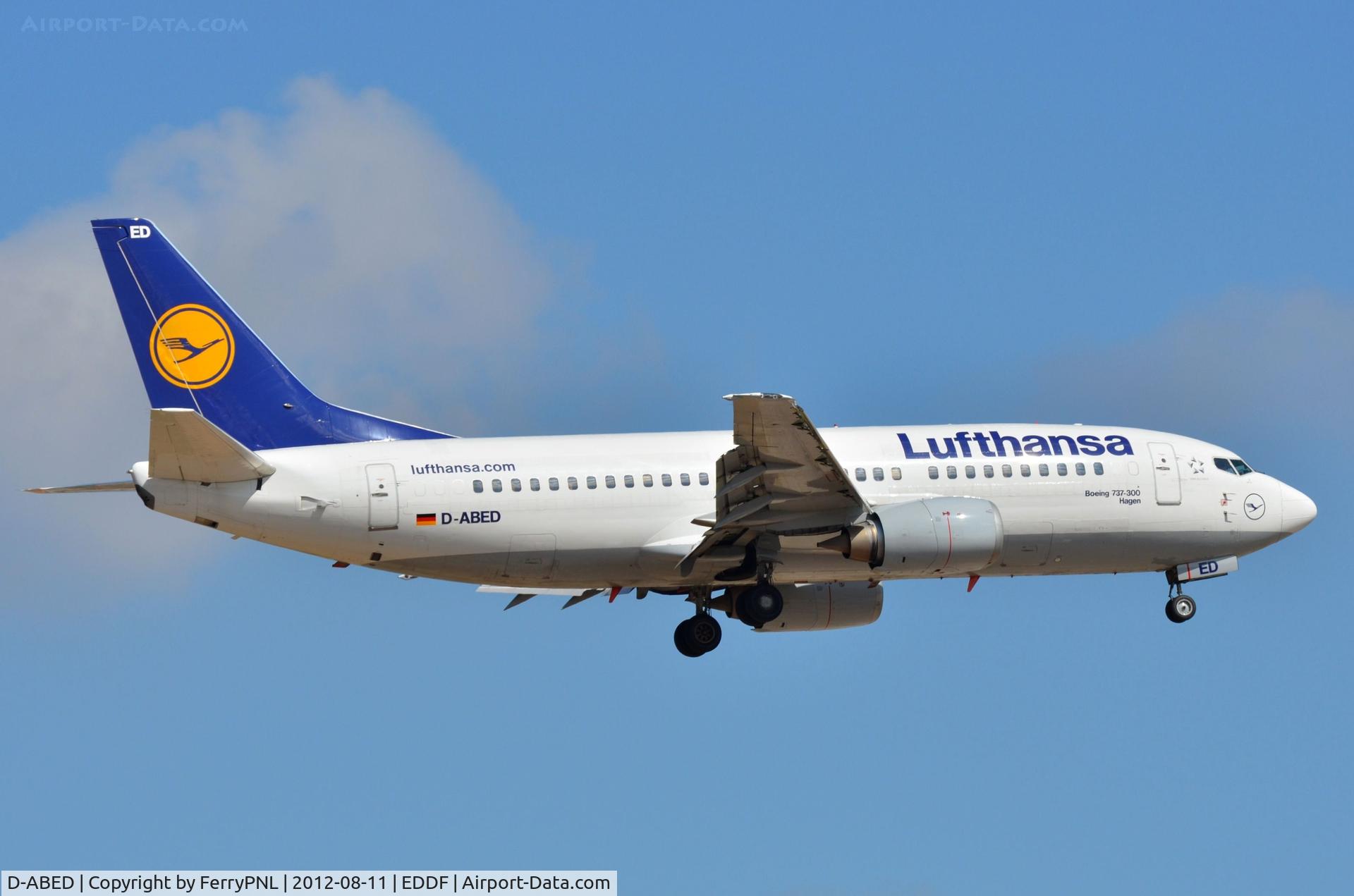 D-ABED, 1991 Boeing 737-330 C/N 25215, Lufthansa B733 landing in FRA