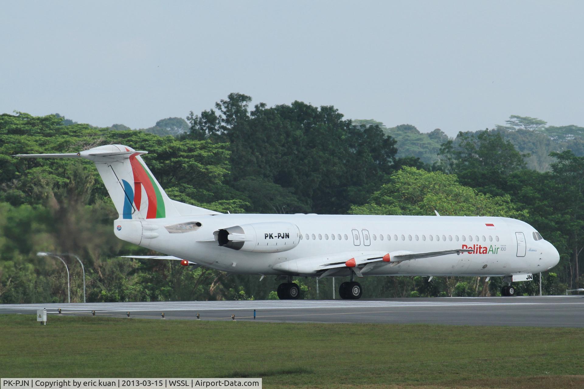 PK-PJN, 1990 Fokker 100 (F-28-0100) C/N 11288, first catch of a F100