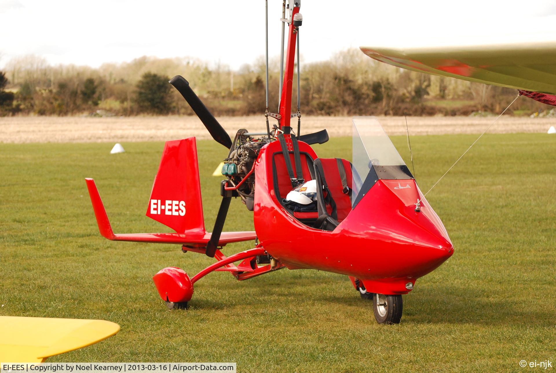 EI-EES, 2004 ELA Aviacion ELA-07R C/N 06040480712, Photographed at the Limetree Spring Fly-in 16-03-2013.