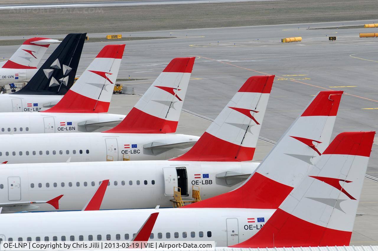 OE-LNP, 2002 Boeing 737-8Z9 C/N 30420, Austrian Airlines