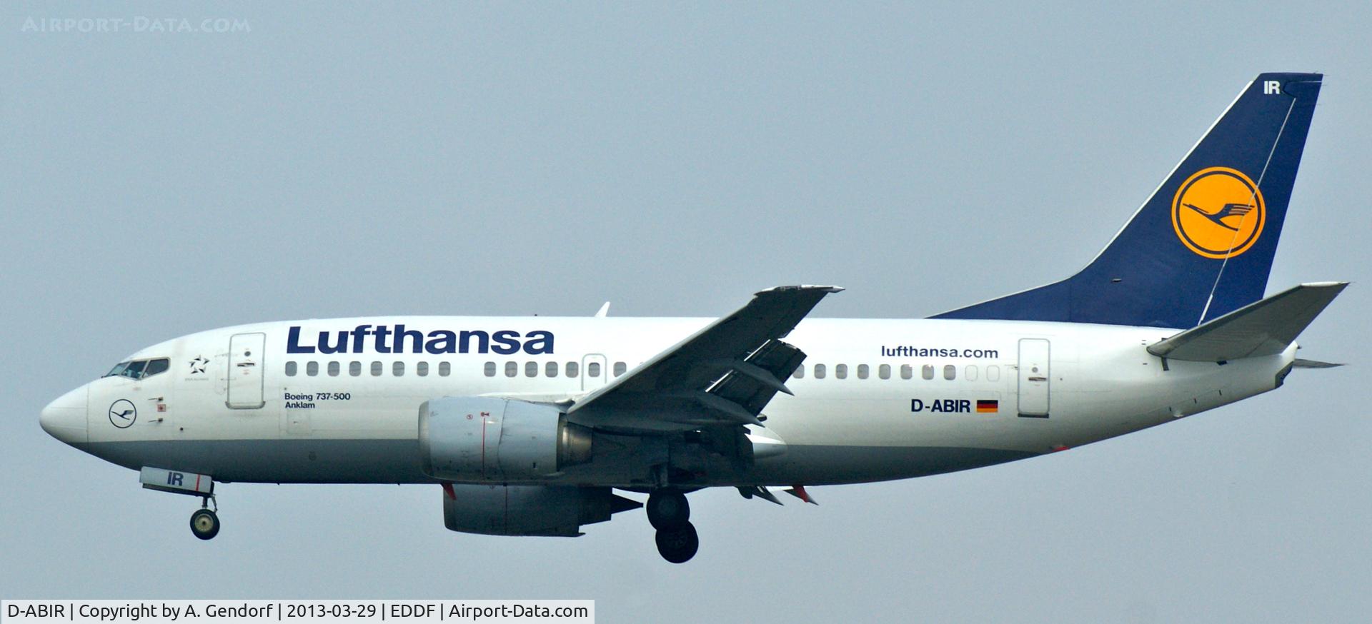 D-ABIR, 1991 Boeing 737-530 C/N 24941, Lufthansa, seen here landing at Frankfurt Int´l (EDDF)