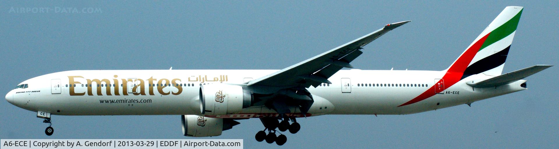 A6-ECE, 2007 Boeing 777-31H/ER C/N 35575, Emirates, seen here approaching RWY 25L at Frankfurt Int´l (EDDF)