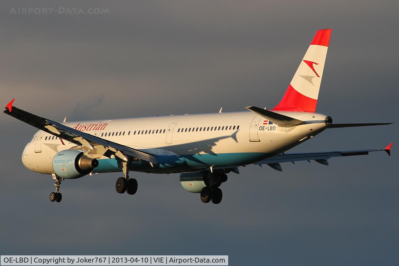 OE-0244, Schneider Grunau Baby IIa C/N Not found OE-0244, Austrian Airlines