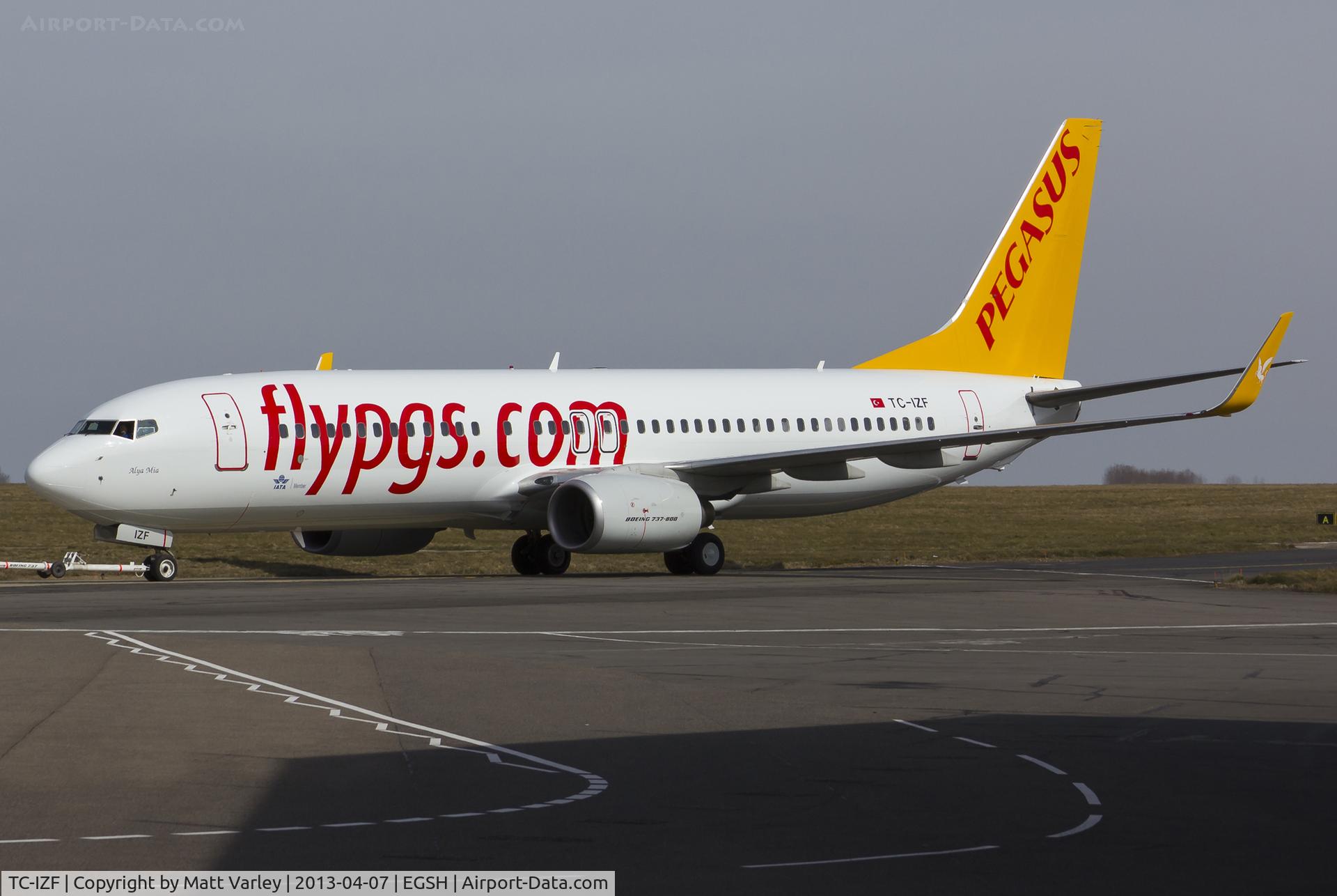 TC-IZF, 2001 Boeing 737-86J C/N 30880, Fresh out of spray in PGT C/S.