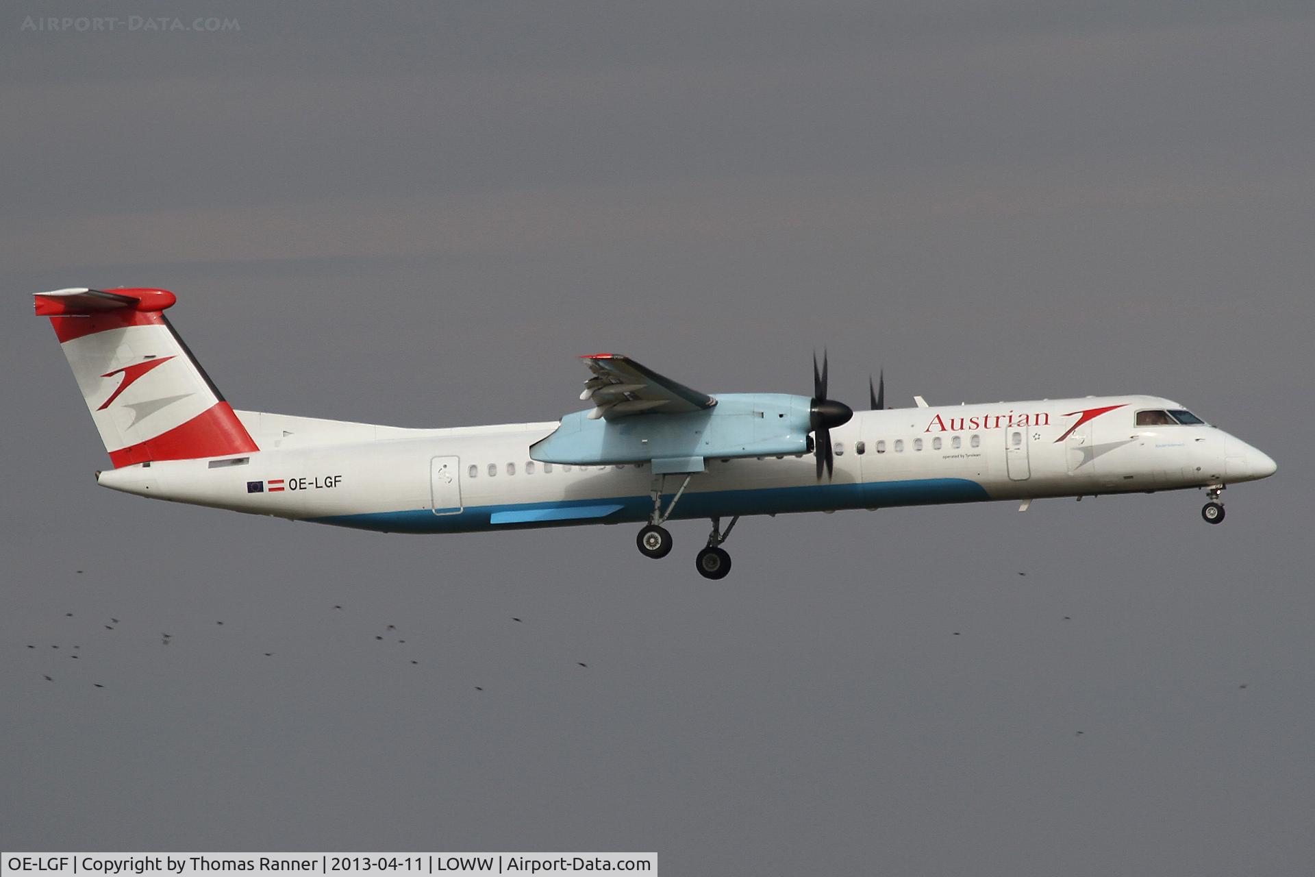 OE-LGF, 2002 De Havilland Canada DHC-8-402Q Dash 8 C/N 4068, Austrian DHC-8