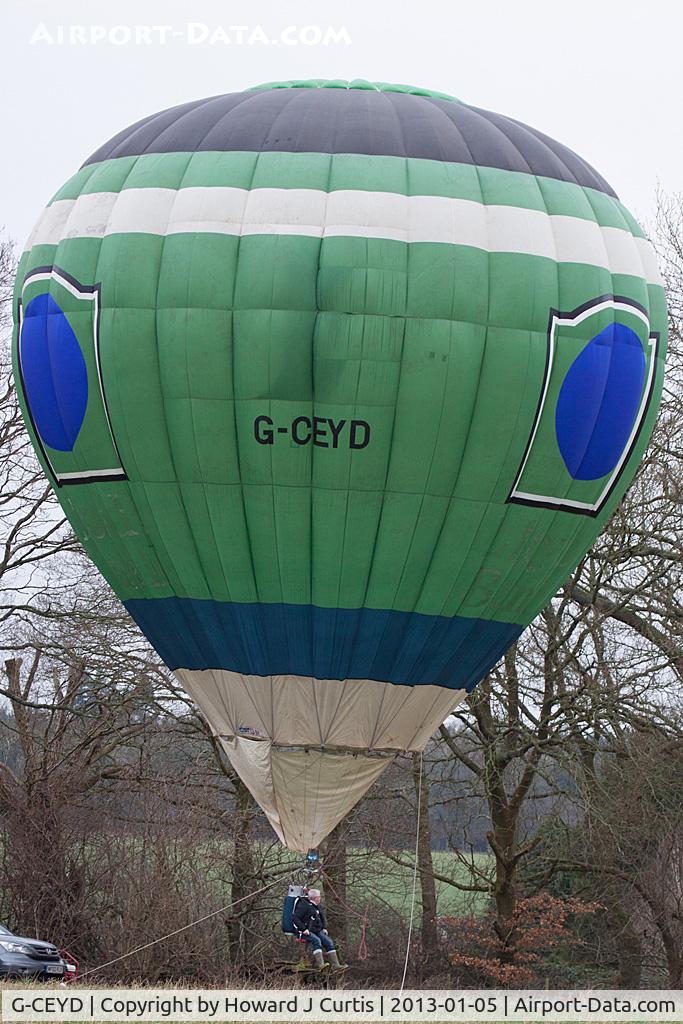 G-CEYD, 1995 Cameron Balloons N-31 C/N 3558, At the 2013 Icicle Balloon Meet, Savernake Forest, Wilts.