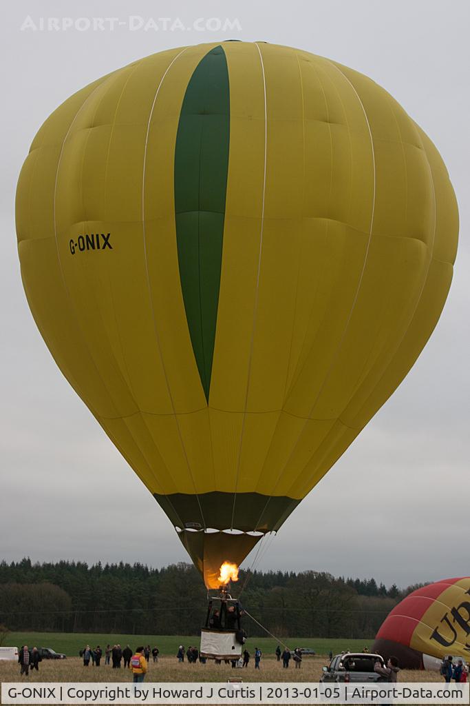 G-ONIX, 1998 Cameron Balloons C-80 C/N 4411, At the 2013 Icicle Balloon Meet, Savernake Forest, Wilts.