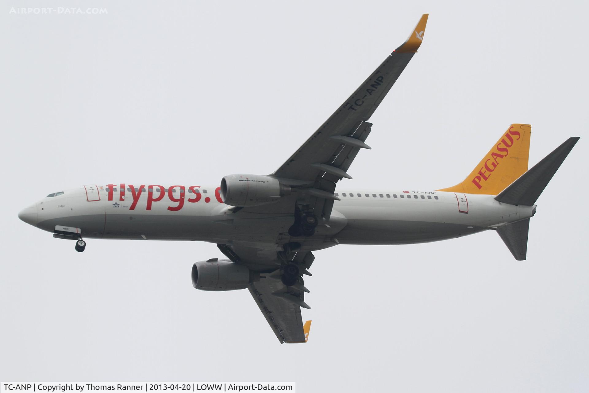 TC-ANP, 2011 Boeing 737-82R C/N 40722, Pegasus Boeing 737