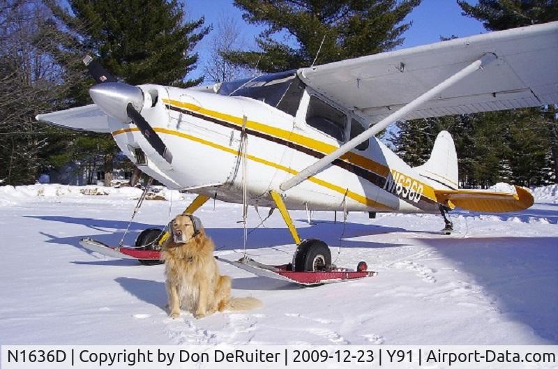 N1636D, 1952 Cessna 170B C/N 20278, N1636D at Home Acres Sky Ranch (Y91) Lake City, MI getting ready for takeoff with Captain Duke.