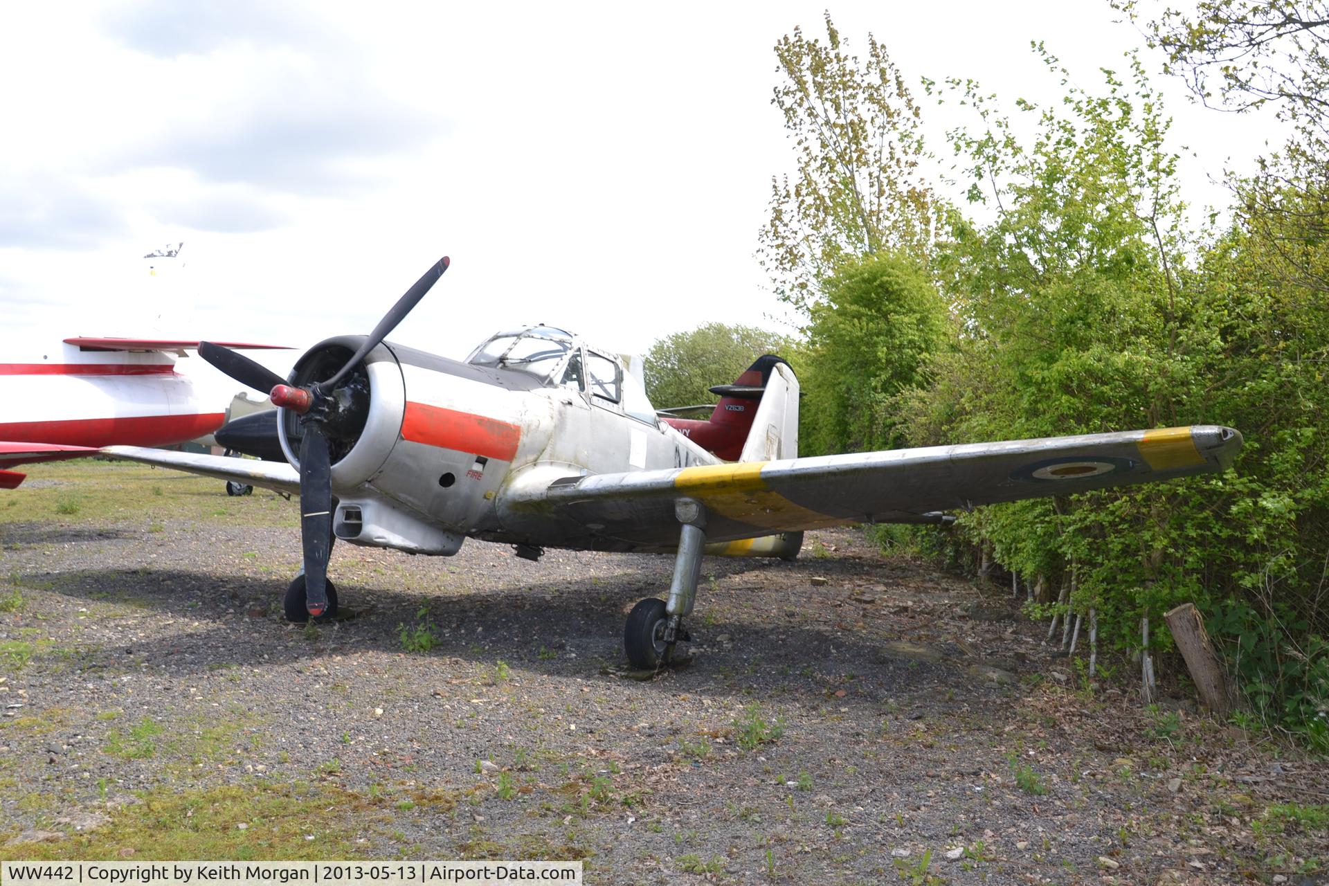 WW442, 1954 Percival P-56 Provost T.1 C/N PAC/56/257, WW442 Piston Provost Gatwick Aviation Museum