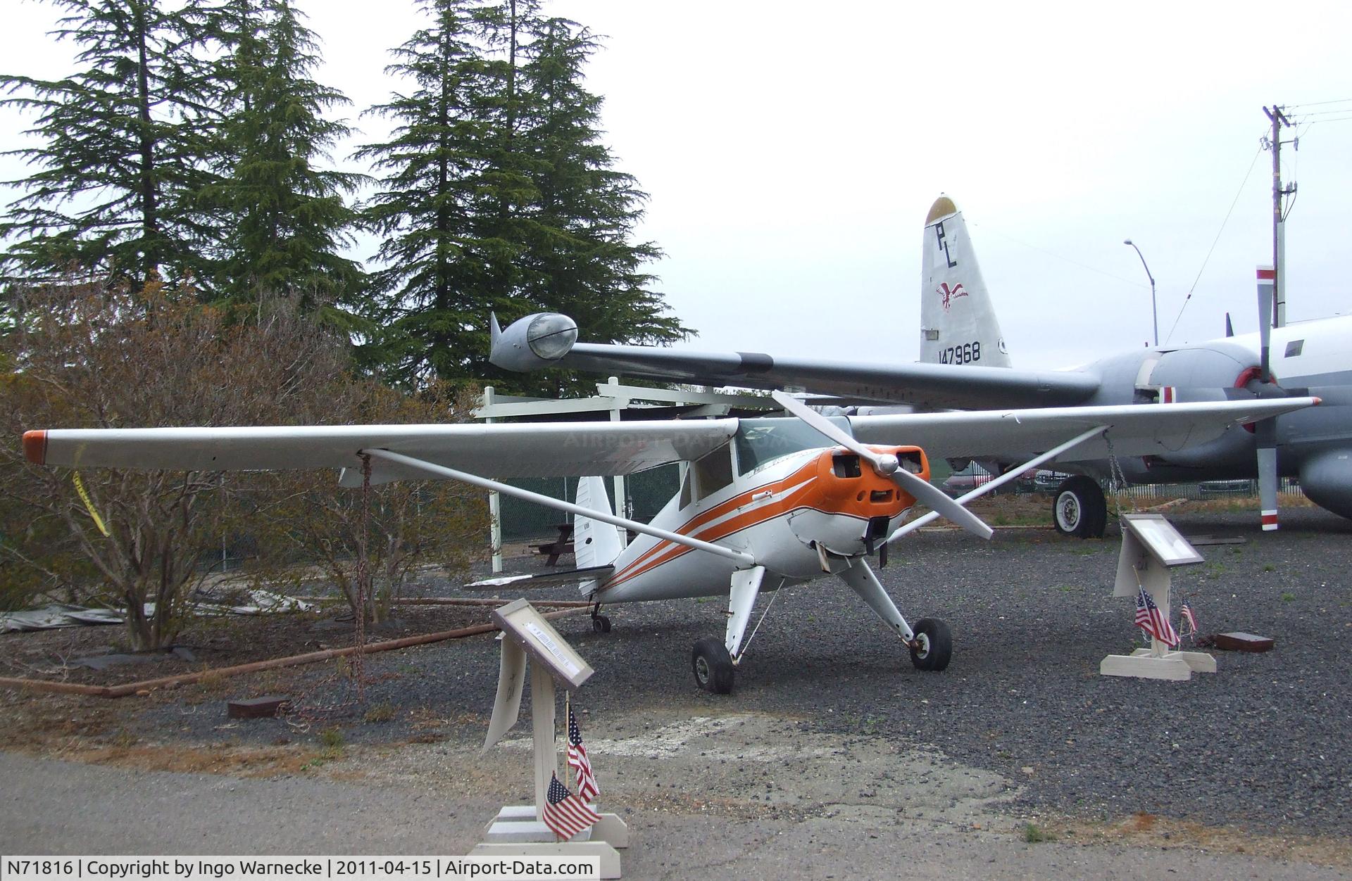 N71816, 1946 Luscombe 8A C/N 3243, Luscombe 8A at the Chico Air Museum, Chico CA