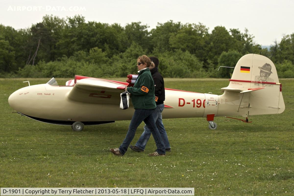 D-1901, 1963 DFS 108-53 Habicht E Replica C/N 1, At 2013 Airshow at La Ferte Alais , Paris , France