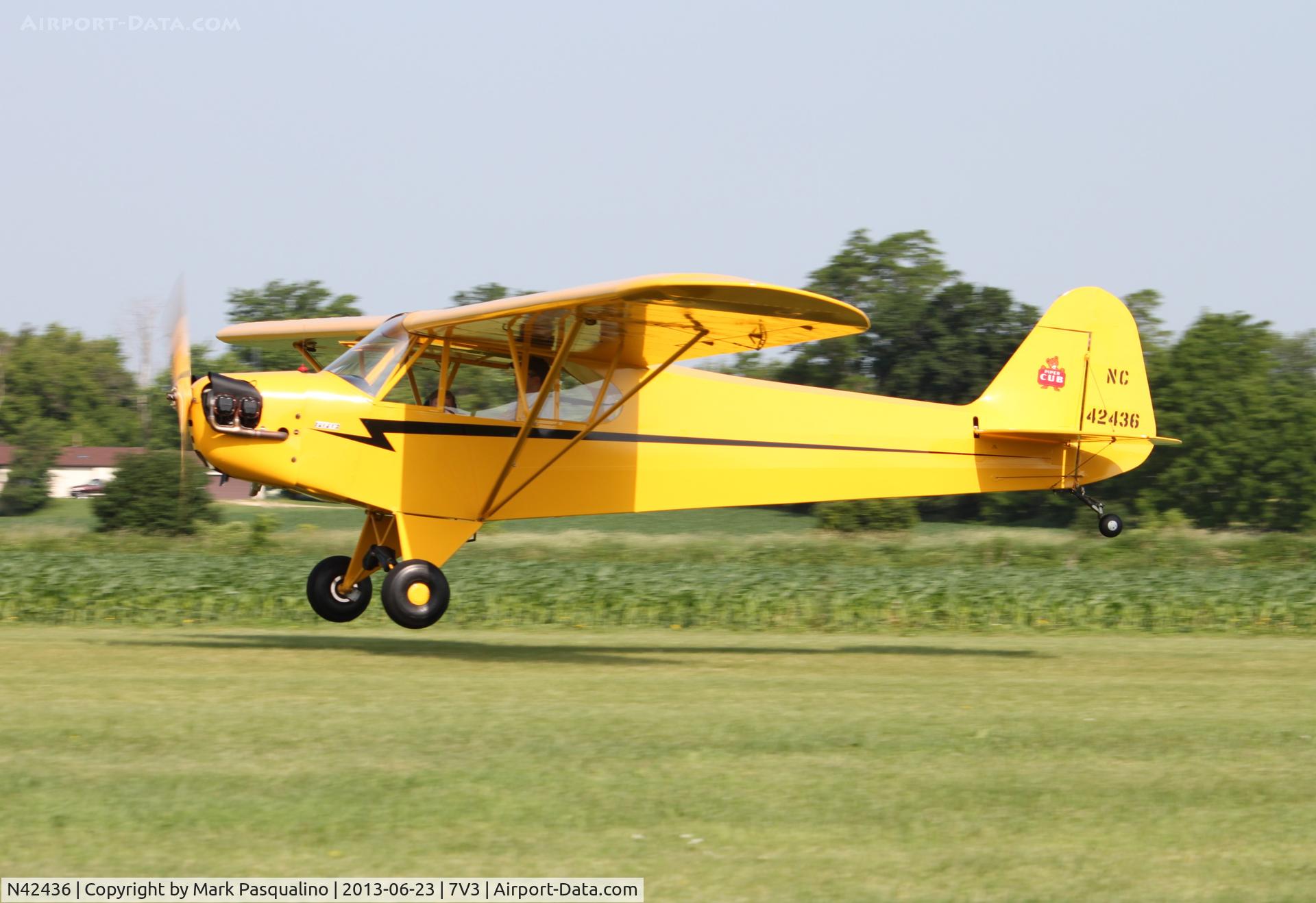 N42436, 1945 Piper J3C-65 Cub Cub C/N 14700, Piper J3C-65