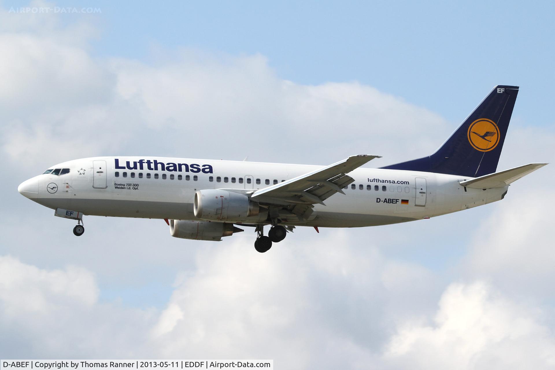 D-ABEF, 1991 Boeing 737-330 C/N 25217, Lufthansa Boeing 737