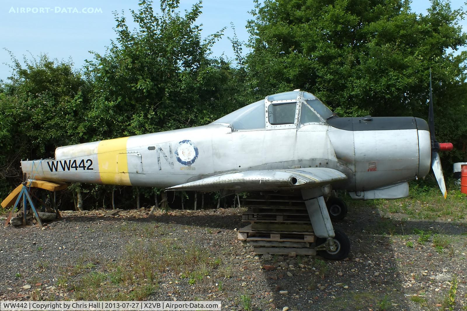 WW442, 1954 Percival P-56 Provost T.1 C/N PAC/56/257, displayed at the Gatwick Aviation Museum
