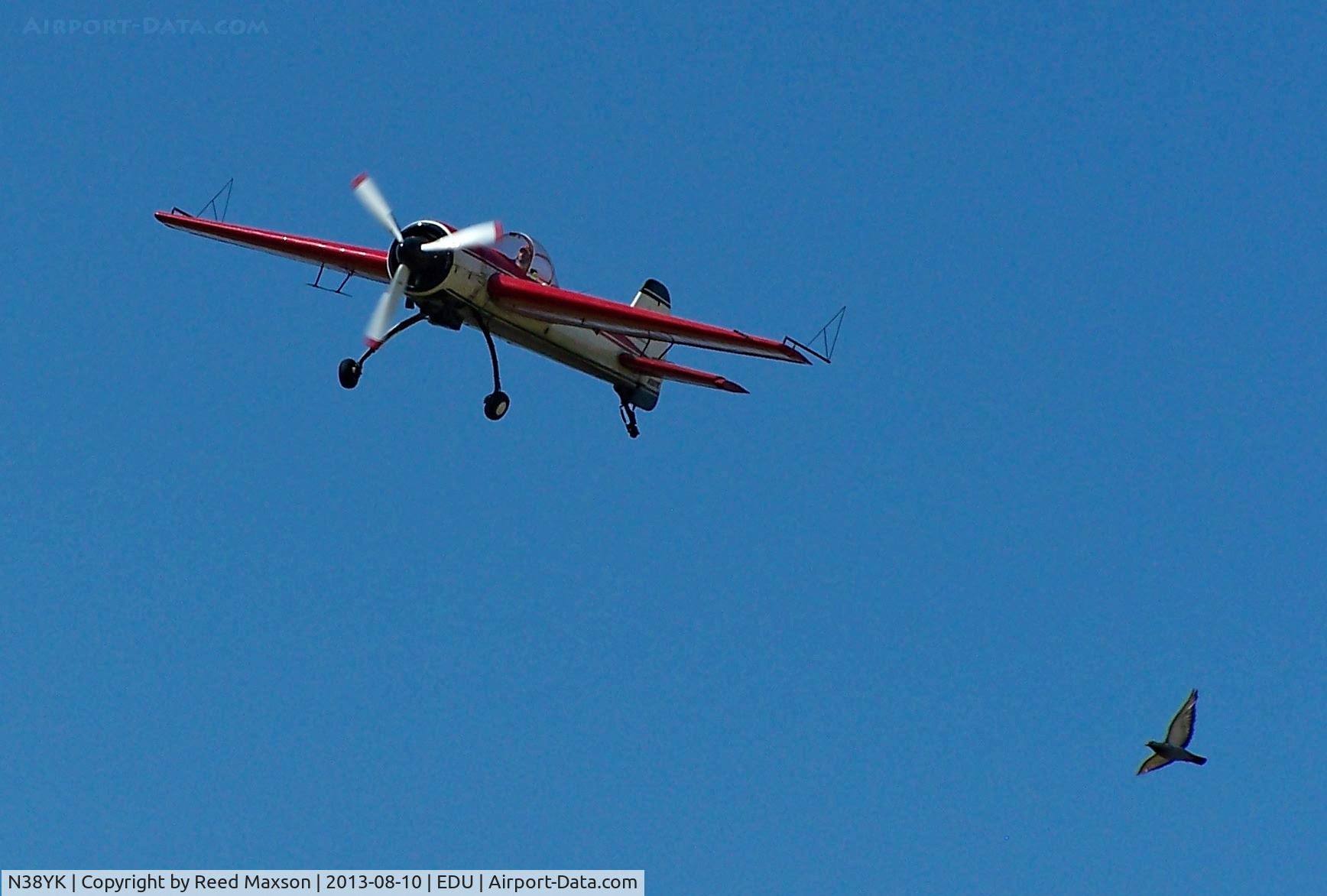 N38YK, 1987 Yakovlev Yak-55M C/N 870203, Yak and pigeon on final