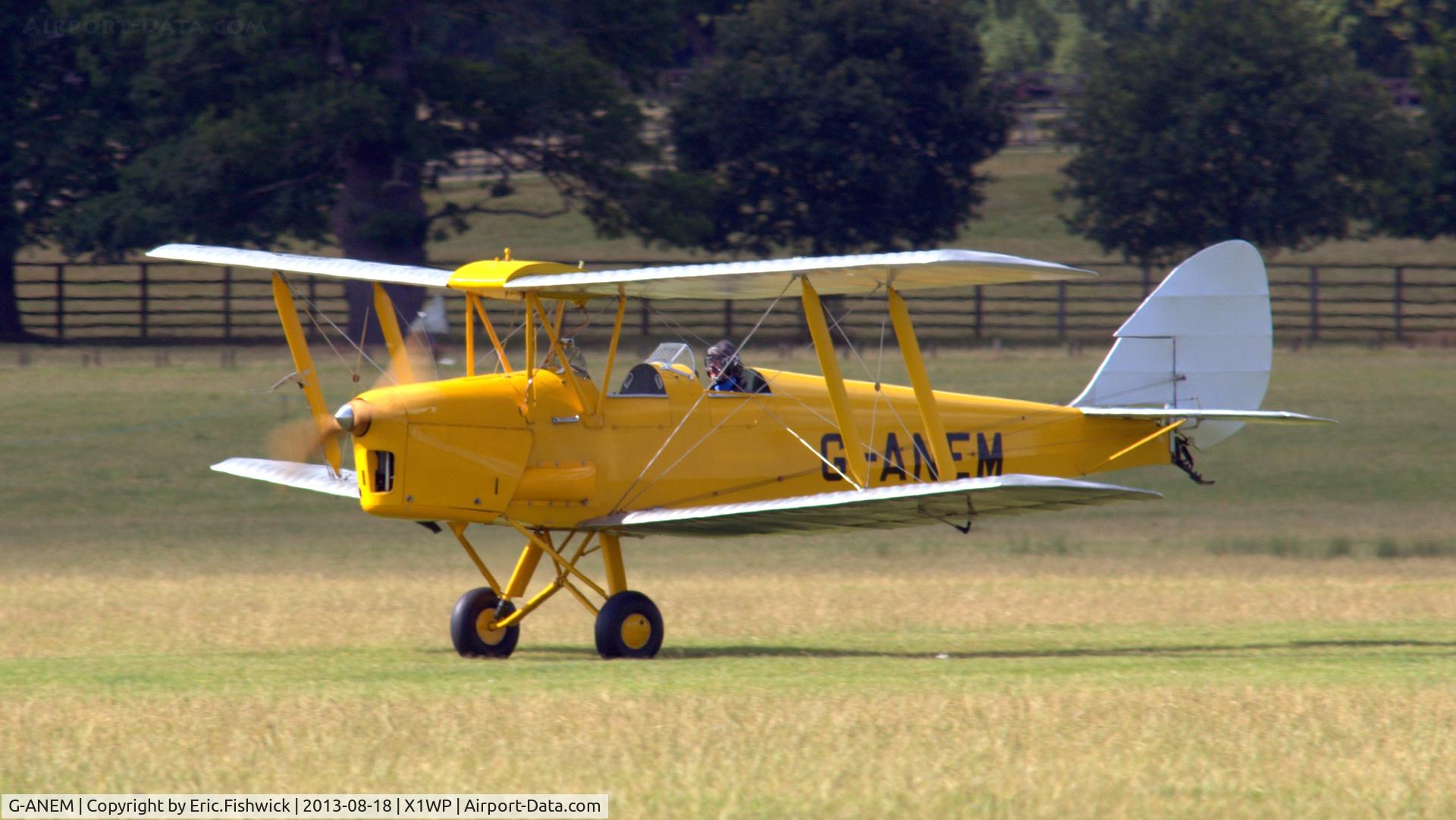 G-ANEM, 1940 De Havilland DH-82A Tiger Moth II C/N 82943, 3. G-ANEM at The 28th. International Moth Rally at Woburn Abbey, Aug. 2013.
