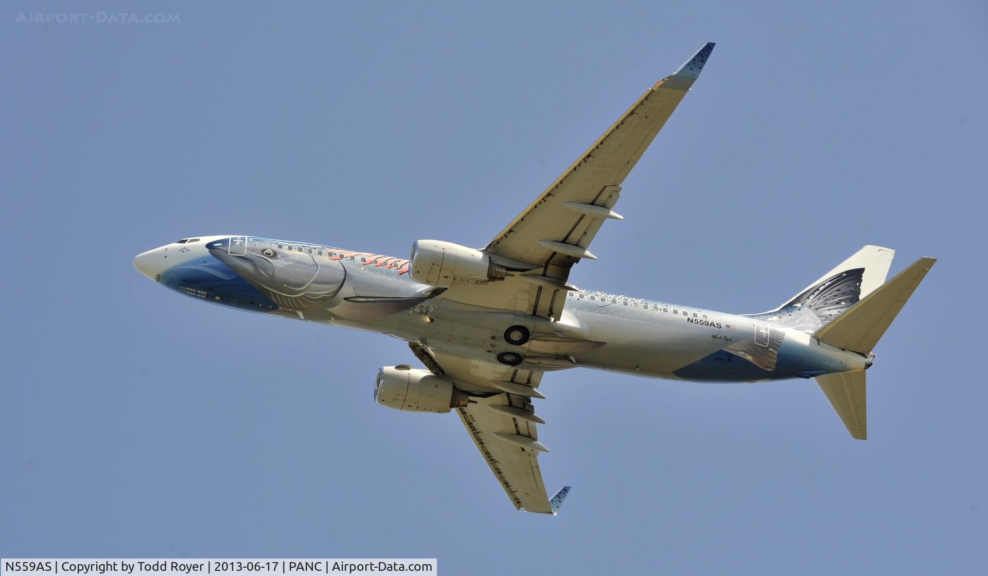N559AS, 2006 Boeing 737-890 C/N 35178, Departing Anchorage