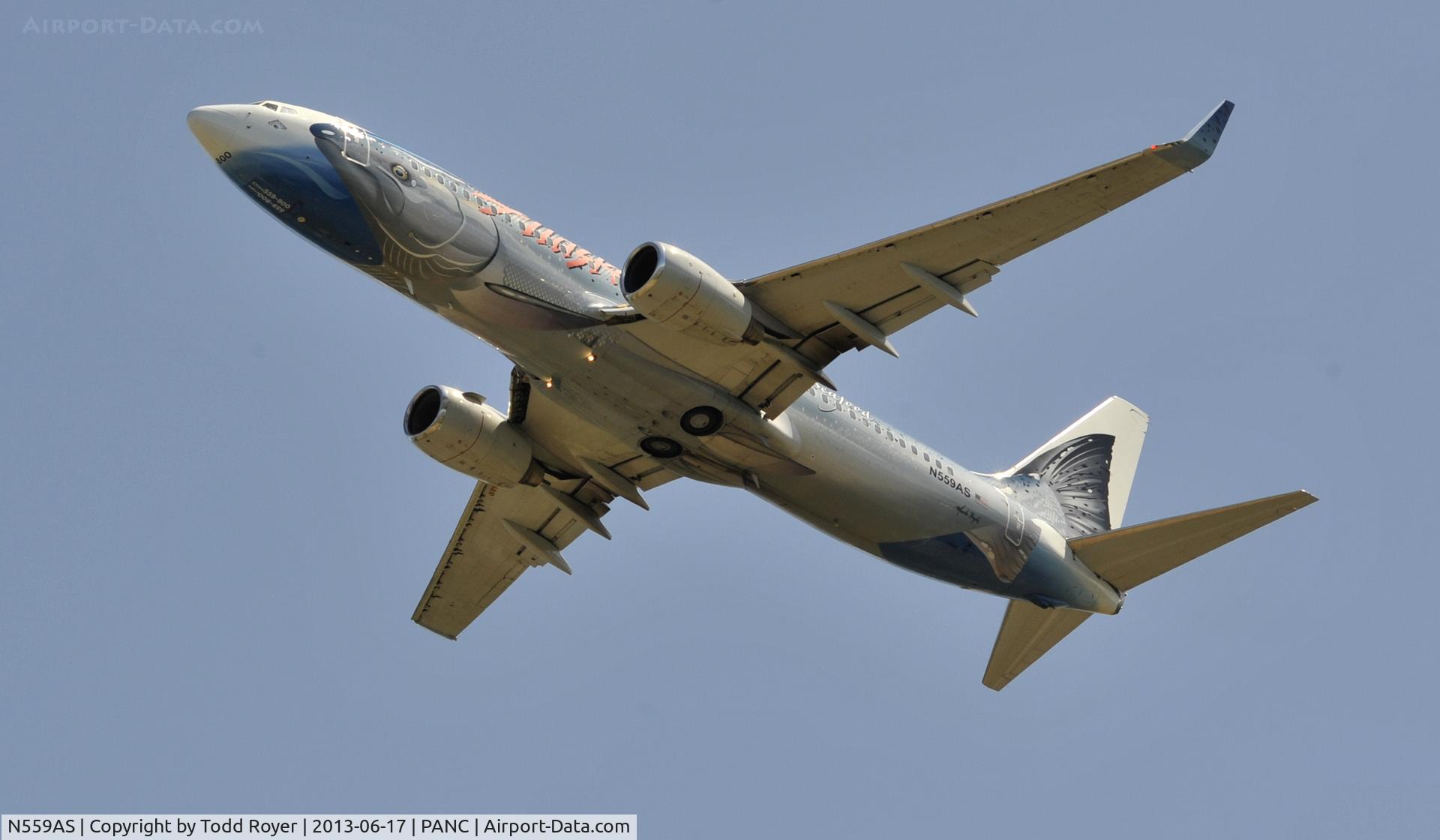 N559AS, 2006 Boeing 737-890 C/N 35178, Departing Anchorage