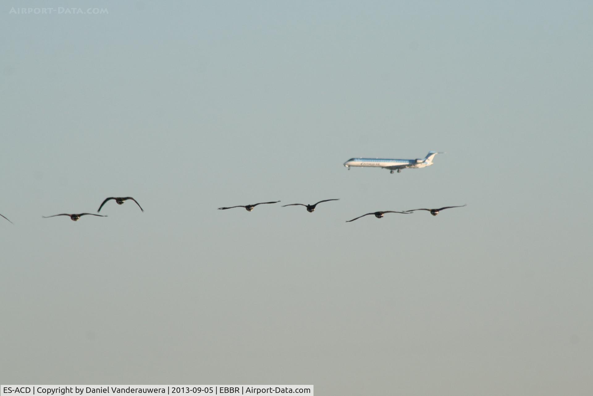 ES-ACD, 2011 Bombardier CRJ-900LR (CL-600-2D24) C/N 15276, Flight OV175 on approach to RWY 25R (seen from RWY 25L)