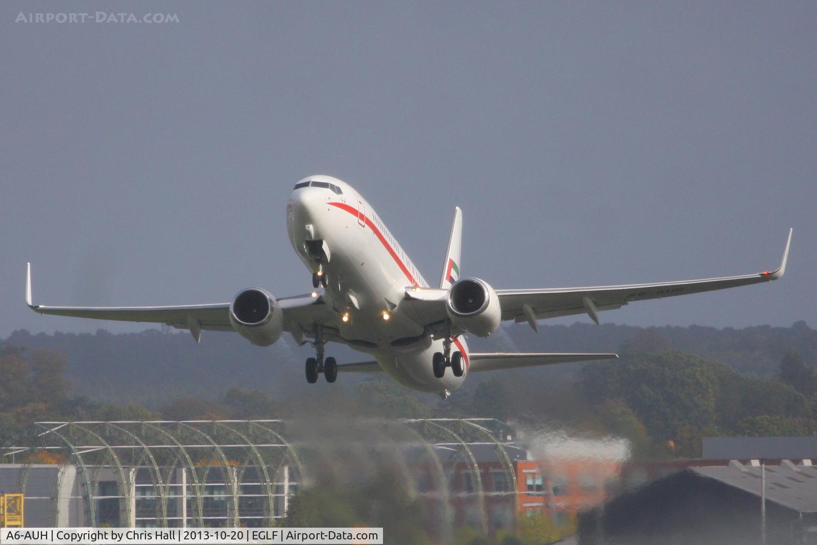 A6-AUH, 2002 Boeing 737-8EX BBJ2 C/N 33473, Amiri Flight Line
