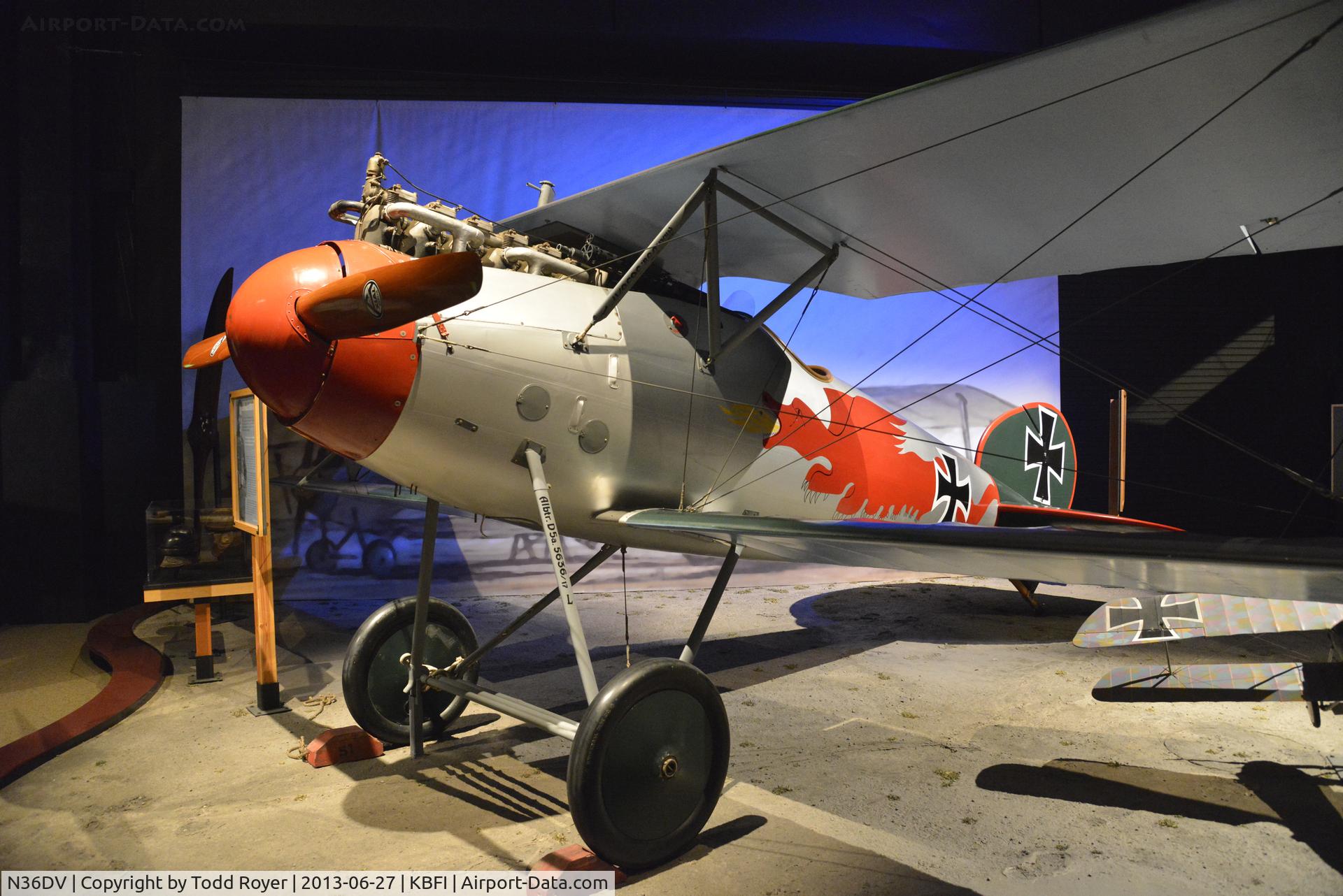 N36DV, 1981 Albatros D-Va Replica C/N 0036, Museum of Flight
